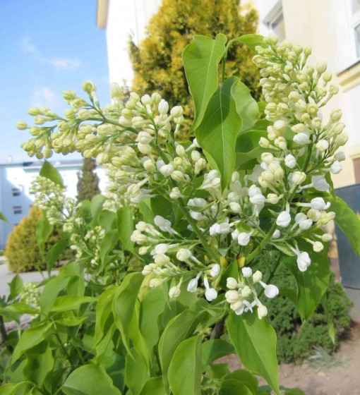 Paldies par ieguldījumu mūsu jauniešu izaugsmē!